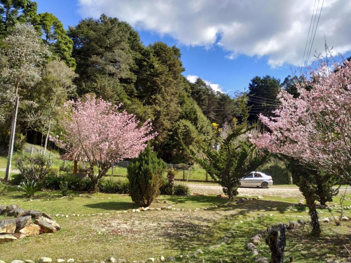 Colonia Saa Ξενοδοχείο Campos do Jordão Εξωτερικό φωτογραφία