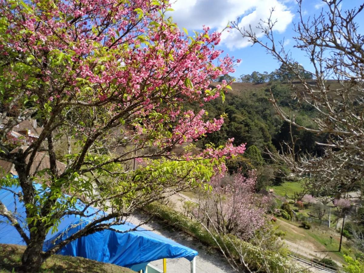 Colonia Saa Ξενοδοχείο Campos do Jordão Εξωτερικό φωτογραφία