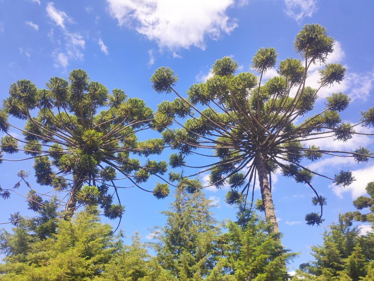 Colonia Saa Ξενοδοχείο Campos do Jordão Εξωτερικό φωτογραφία